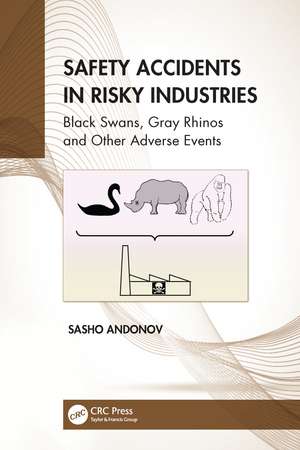 Safety Accidents in Risky Industries: Black Swans, Gray Rhinos and Other Adverse Events de Sasho Andonov