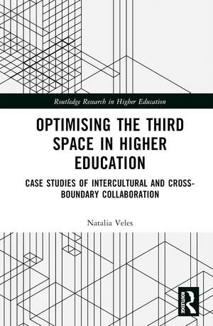 Optimising the Third Space in Higher Education: Case Studies of Intercultural and Cross-Boundary Collaboration de Natalia Veles