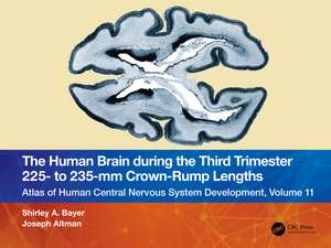 The Human Brain during the Third Trimester 225– to 235–mm Crown-Rump Lengths: Atlas of Central Nervous System Development, Volume 11 de Shirley A. Bayer