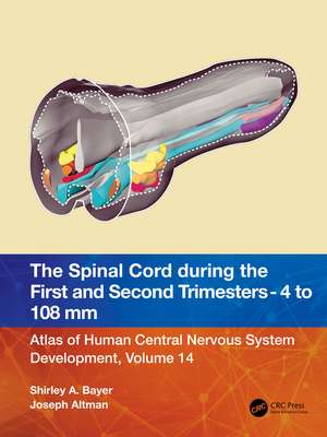 The Spinal Cord during the First and Early Second Trimesters 4- to 108-mm Crown-Rump Lengths: Atlas of Human Central Nervous System Development, Volume 14 de Shirley A. Bayer