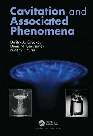 Cavitation and Associated Phenomena de Dmitry Biryukov