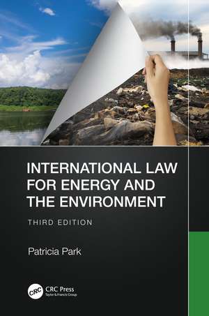 International Law for Energy and the Environment de Patricia Park