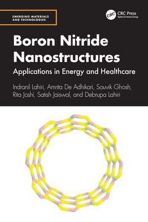 Boron Nitride Nanostructures de Indranil Lahiri