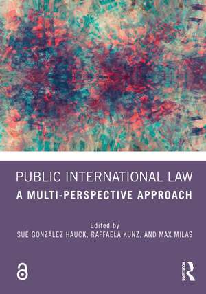 Public International Law: A Multi-Perspective Approach de Sué González Hauck