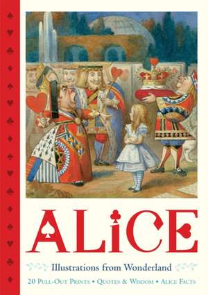 Alice Pull-Out Prints de Macmillan Children's Books