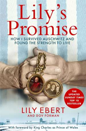 Lily's Promise de Lily Ebert