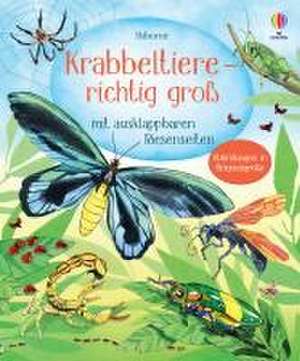 Krabbeltiere - richtig groß