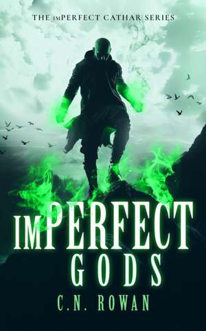 Imperfect Gods de C N Rowan