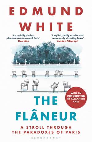 The Flaneur: A Stroll through the Paradoxes of Paris de Edmund White