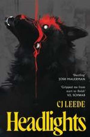 Headlights de Cj Leede