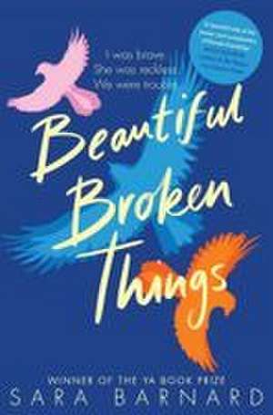 Beautiful Broken Things de Sara Barnard