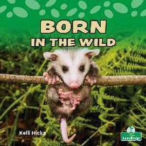 Born in the Wild de Kelli Hicks