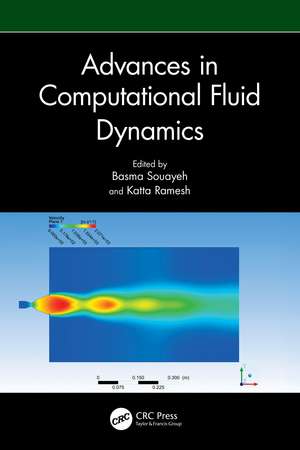 Advances in Computational Fluid Dynamics de Basma Souayeh