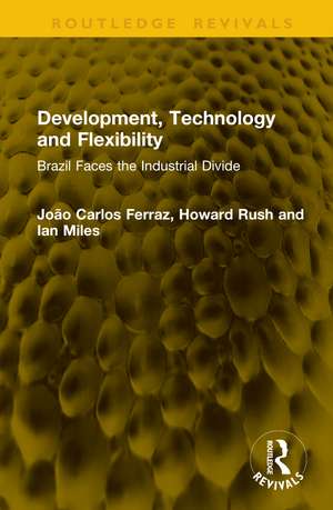 Development, Technology and Flexibility: Brazil Faces the Industrial Divide de João Carlos Ferraz