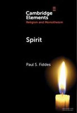 Spirit de Paul S Fiddes