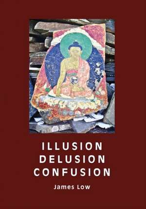 Illusion delusion confusion de James Low
