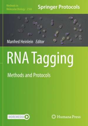 RNA Tagging: Methods and Protocols de Manfred Heinlein