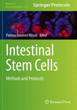 Intestinal Stem Cells: Methods and Protocols de Paloma Ordóñez-Morán