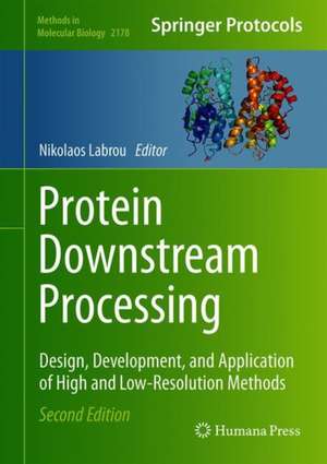 Protein Downstream Processing: Design, Development, and Application of High and Low-Resolution Methods de Nikolaos E. Labrou