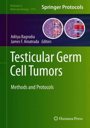 Testicular Germ Cell Tumors: Methods and Protocols de Aditya Bagrodia