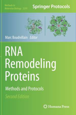 RNA Remodeling Proteins de Marc Boudvillain