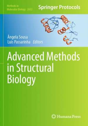 Advanced Methods in Structural Biology de Ângela Sousa