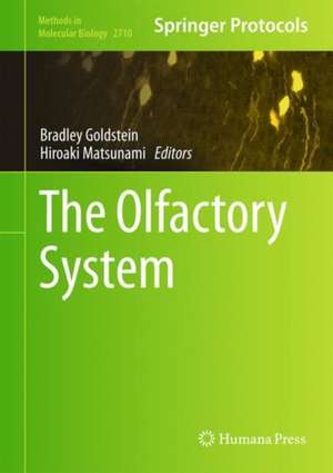 The Olfactory System de Bradley J. Goldstein