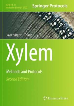 Xylem de Javier Agusti