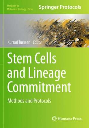 Stem Cells and Lineage Commitment de Kursad Turksen