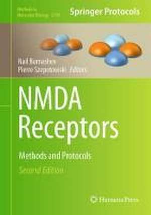 NMDA Receptors: Methods and Protocols de Nail Burnashev