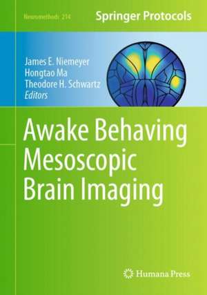 Awake Behaving Mesoscopic Brain Imaging de James Niemeyer