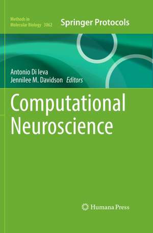 Computational Neuroscience de Antonio Di Ieva
