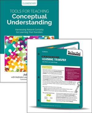 BUNDLE: Stern: Tools for Teaching Conceptual Understanding, Elementary + Stern: On-Your-Feet Guide to Learning Transfer de Julie Stern