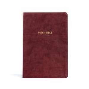 KJV Rainbow Study Bible, Burgundy Leathertouch, Indexed de Holman Bible Publishers