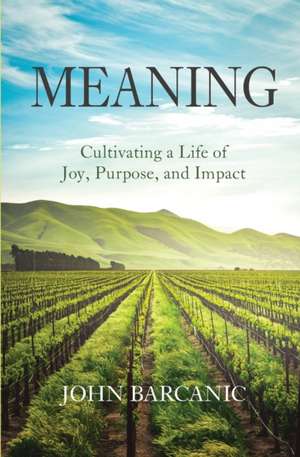 Meaning de John Barcanic