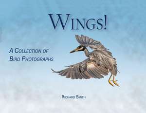 Wings! de Richard Smith