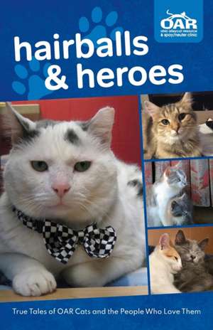 Hairballs and Heroes de Ohio Alleycat Resource