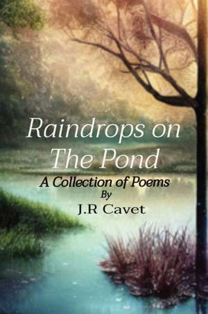 Raindrops on The Pond de J. R Cavet