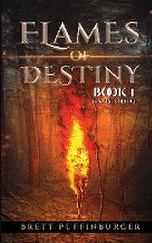 Flames of Destiny Book 1 de Brett Puffinburger