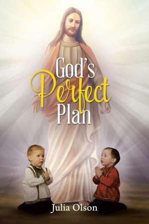 God's Perfect Plan de Julia Olson
