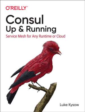 Consul: Up and Running de Luke Kysow