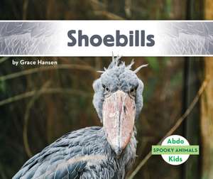 Shoebills de Grace Hansen