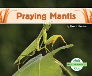 Hansen, G: Praying Mantis
