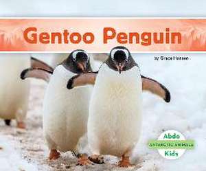 Gentoo Penguin de Grace Hansen