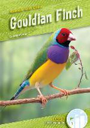 Gouldian Finch de Julie Murray