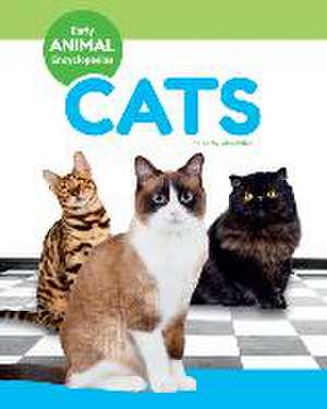 Macmillan, K: Cats