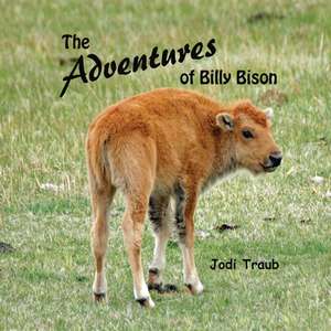 The Adventures of Billy Bison de Jodi Traub