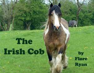 The Irish Cob de Flore Ryan