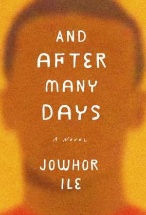 And After Many Days de Jowhor Ile