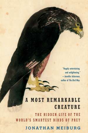 A Most Remarkable Creature de Jonathan Meiburg